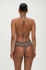 Jessup Halter Bikini Top - Baby Leopard